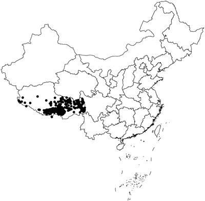 Novel insight into the genetic signatures of altitude adaptation related body composition in Tibetans